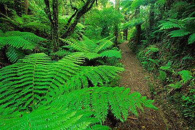 百万奖金！Sky李晓峰携手KK对战平台开启war3新赛年计划!